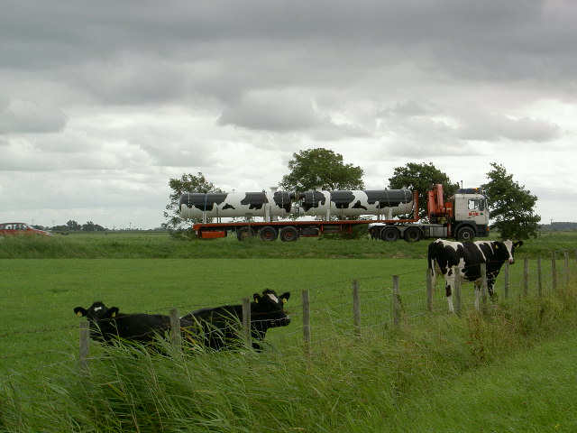 2004 Custom made heat exchangers with cows