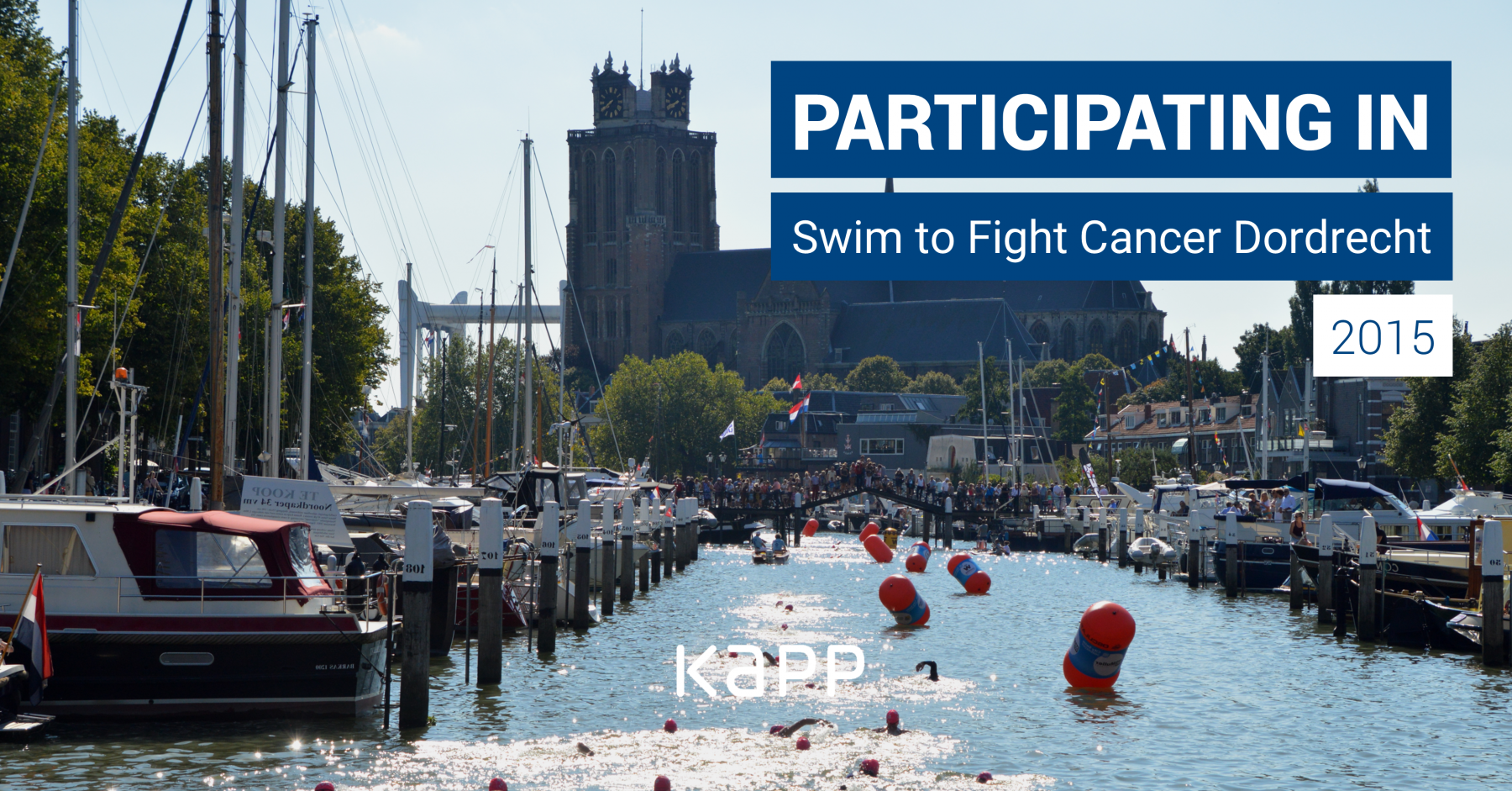 2015 Swim to fight cancer 1